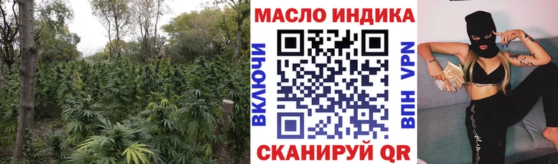 Дистиллят ТГК гашишное масло  Новоржев 